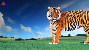 Learn Wild Animals Names and Sounds | Animals Names Learning Video With Kung fu Panda (Part 01)