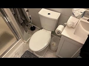 Project Source Danville Toilet Flushing!