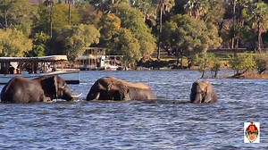 4K views · 106 reactions | Watch in HD. Sharing this video clip of our Sunset cruise experience during our stay in Victoria Falls, Zimbabwe! <3 Video edited by Stewart Way <3 | Two Monkeys Travel | Facebook