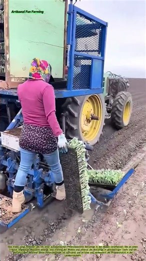 Betrieb einer automatischen Pflanzmaschine