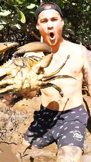 65K views · 1.3K reactions | biggest shell I’ve ever seen in my life | Brodiemoss | Facebook