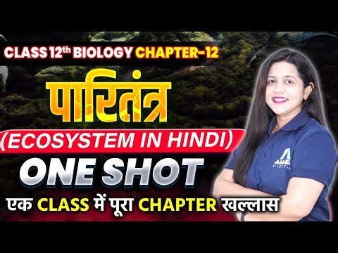 पारितंत्र One Shot | Class 12 Biology Chapter 12 - Paritantra | Ecosystem Full Chapter in Hindi