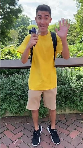 Caillou's Trip To The Zoo