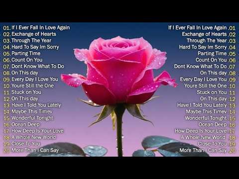 Relaxing Old Love Songs for Sleeping and Stress Relief | Love Songs Nonstop 2026