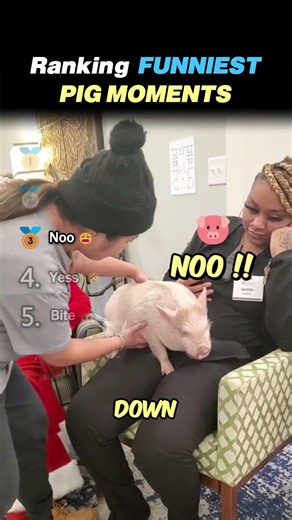 Ranking FUNNIEST PIG MOMENTS Core Moments!! 🐷😂