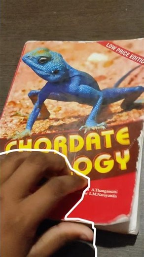 4th Sem started|Books|Bsc. Zoology|Music: IslandsMusician: Grohl (from Audiio)#zoology#bsczoology