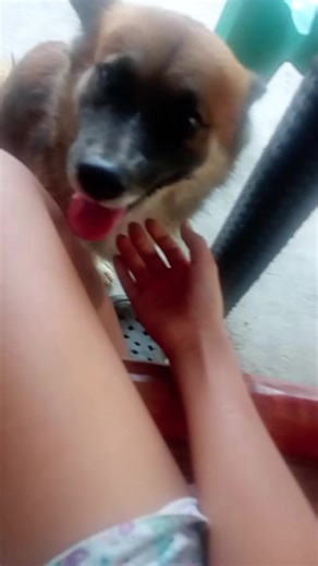 😭😭😭😭@Moonflower_Lover[🌼X🌕]💫👌🤌