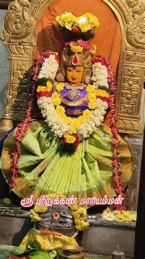 ஸ்ரீ புற்றுக்கண் மாரியம்மன் கோவில் #trendingshorts #amman #kaliamman #mariamman #nagathamman