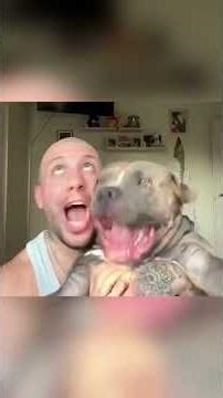 Pets Have No Idea How Funny They Are – Natural Comedians Every Day 🐶🐱🤣