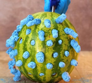 16K views · 27 reactions | 3-Minute Hacks on Reels | Facebook