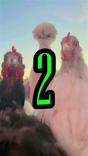 Ranking the funniest elevator fart spray prank!!!