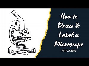 How to Draw and Label a Microscope | Step-by-Step Pencil Sketch Tutorial