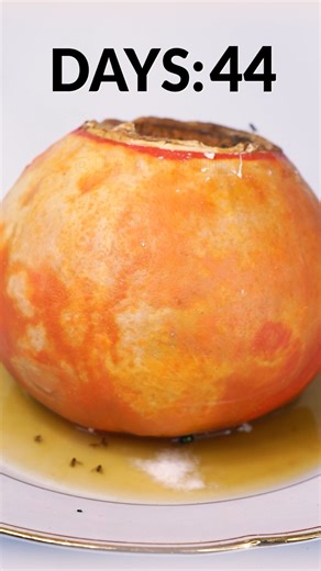 23K views · 158 reactions | Rot And Decay Timelapse 練#decay #food #satisfying | Time Treats | Facebook