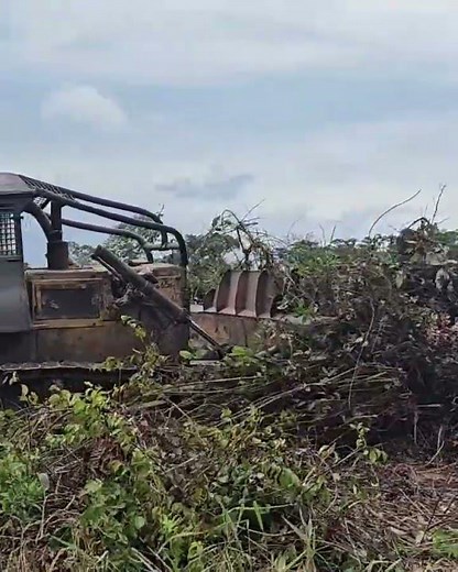 Trator De Esteira Komatsu D65 Trabalhando