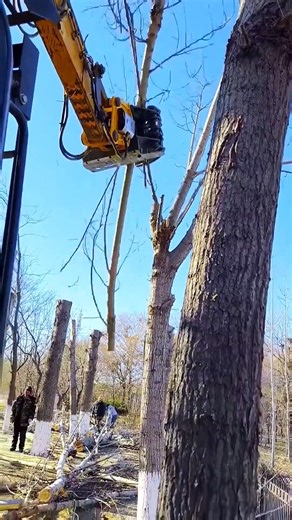 Rotary saw logging process #mechanic #auto #mechanicsteve #inspiring #motivation #handwashchallenge #mechaniclife | WOW Technology