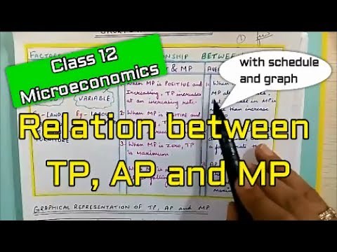 Class 12 Microeconomics Theory of production (relationship between TP, AP and MP)