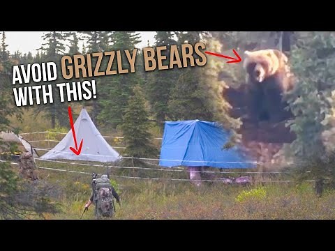 DIY Electric Bear Fence! | Easy and Effective GRIZZLY Deterrent!