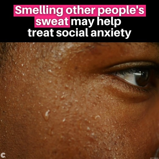 Want to take a sniff? Researchers from the Karolinska Institute in Sweden have found that body odor may help increase the effectiveness of social anxiety treatments. Elisa Vigna and her team conducted a study where armpit sweat samples were taken from multiple participants. Researchers then divided 48 women, suffering from social anxiety, into groups. All groups completed mindful therapy exercises, but some groups were exposed to the sweat samples while participating in the activities while othe