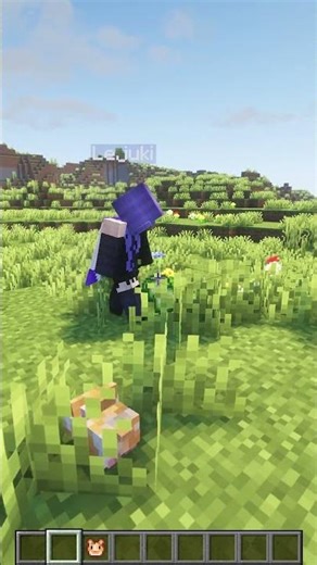 The BEST PRO MINECRAFT MOD 1.20.1 🔥