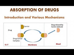 Absorption of Drugs