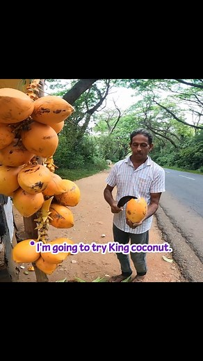 20K views · 444 reactions | [Diplomat Talks] Coconut Juice (Sri Lanka Travel Notes Ep.2) | Arirang World | Facebook