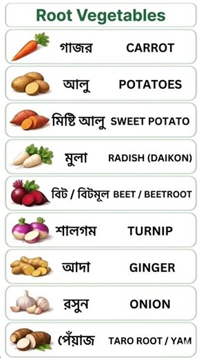 10 Root Vegetables Name | Easy Vocabulary for Beginners