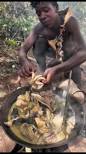Aborigines' food and their life style.