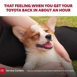 34K views · 727 reactions | The faster you get your Toyota back, the more pleasant the experience. And Toyota Express Maintenance gets your Toyota back to you in about an hour. Make an appointment at your local Toyota Service Center today! | Toyota USA | Facebook
