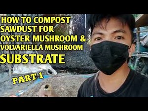How to compost sawdust for oyster mushroom and volva mushroom substrate Part 1/2