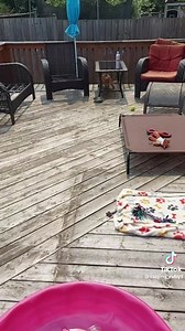 23 reactions | New Zealand Pet Lovers on Reels | Facebook