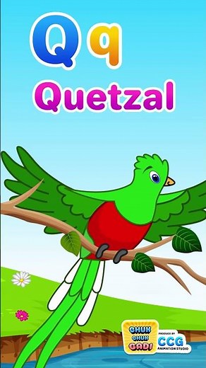 Learn the Letter Q | Quetzal Phonics Fun for Kids