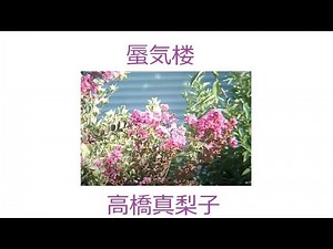 高橋真梨子 蜃気楼