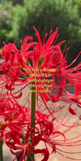 Exploring Red Spider Lilies in Demon Slayer and Tokyo Ghoul