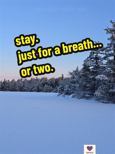 Give your nervous system a quiet moment to settle. Slow, intentional breathing helps shift the body out of stress mode—lowering heart rate, easing tension, and improving oxygen delivery to the brain. You don’t need to do this perfectly. Just breathe in. Hold. Breathe out. Hold. When this ends, consider putting your phone down for a few minutes. Step outside if you can. Fresh air, natural light, and gentle movement reinforce the same calming signals you just gave your body. And if someone you car