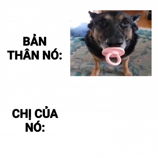 Josuke Voice Actor: Japanese vs. English | The Shy Snow Woman and The Cursed Ring