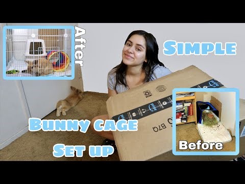 Simple Rabbit Cage Set Up | Bunny Space MAKEOVER 2022