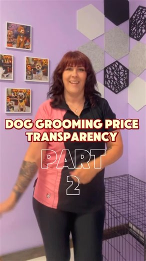 The previous video had dogs that are on the higher price range of my services. MY prices are based off of breed/mix, coat type, condition of their coat, they’re grooming, schedule, size, and behavior. My price is also reflects my continuing education, always improving my craft, years of experience, and top-of-the-line equipment and products used. Every location is different, every demographic is different, and every groomer/salon is different. I have not taken new clients in over a year. I have 