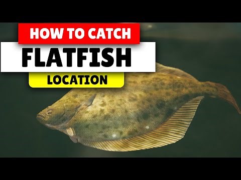 Assassin's Creed Valhalla How to find flatfish | Best Location