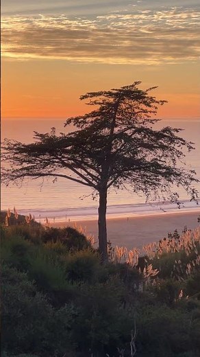 Sunset at Monterey Bay