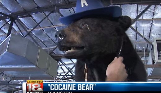 Pablo Escobear: The Absolutely Bizarre Story of Kentucky's Cocaine Bear | OutdoorHub
