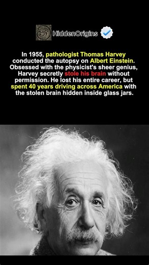 He Stole Einstein's Brain and Kept It for 40 Years! 🫙 🧠