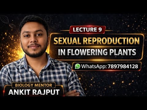 Double Fertilization in Flowering Plants | Class 12 NCERT Biology | NEET 2026| Angiosperm Plants
