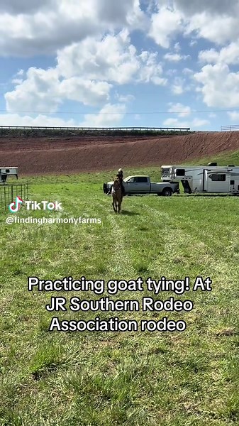 Finding Harmony Farms on TikTok