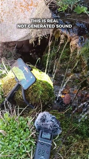 Secret Mountain Stream Recording 🎧 Real Nature Sound Setup | Tien Shan Kazakhstan #nature