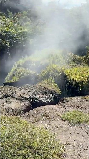 A day in the Volcanic Steam Vents! Volcanos National Park on the Big Island of Hawaii! #travel