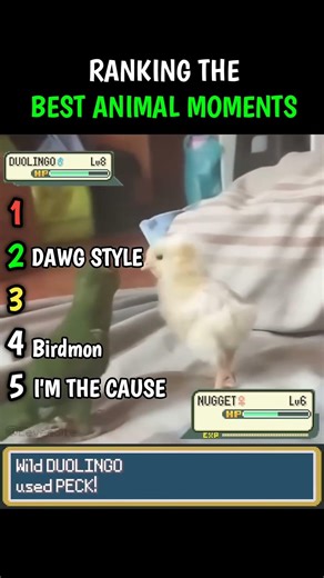 TRUST ME 😭YOU NEED THIS |SUBSCRIBE FOR MORE|#funny #animal