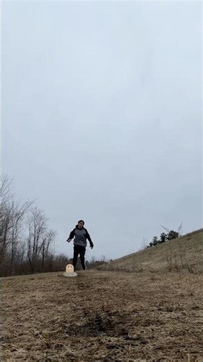 Diglett - Pokémon Catch #pokemon #gaming #videogames #nintendo