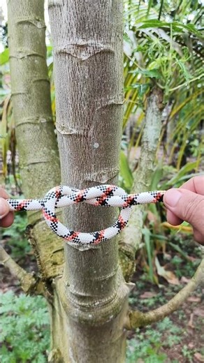Strong and so useful Knot