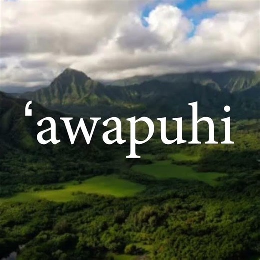 Hawaiian Word of the Week: ‘Awapuhi
