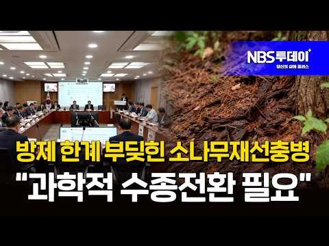 방제 한계 부딪힌 소나무재선충병…“과학적 수종전환 필요”
